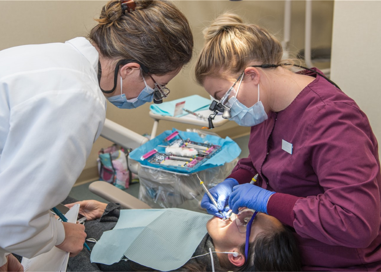 Students study Dental Hygiene at NHTI