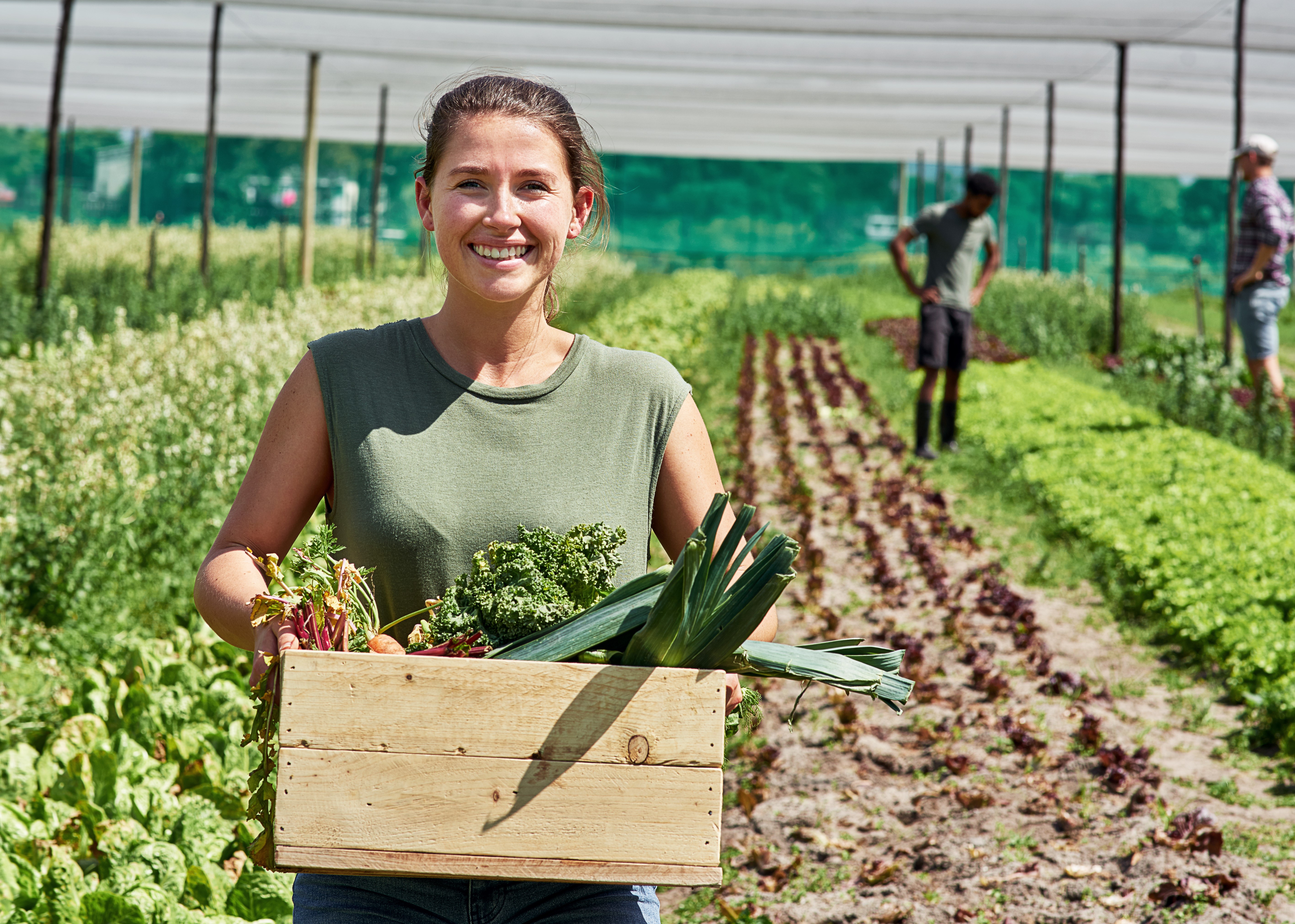 NHTI's Sustainable Agriculture Program